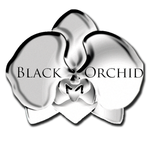 Logo Design by mikedixie for this project | Design: #1933209