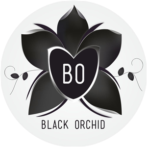 Logo Design by Marilena