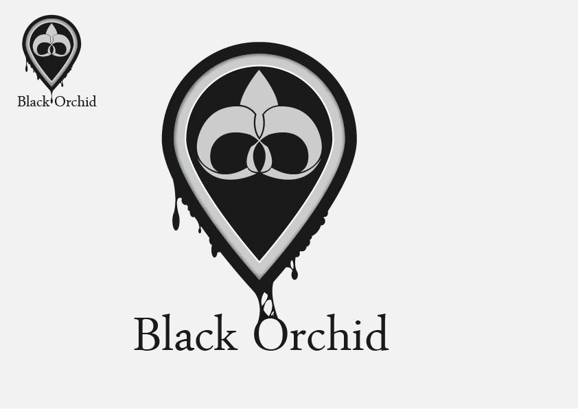 Logo Design by Chimera Studio for this project | Design #1958807