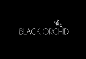 Logo-Design von Bling Connect Ink für dieses Projekt | Design: #1932903
