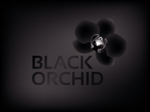 Logo-Design von hoch2wo für dieses Projekt | Design #1960190