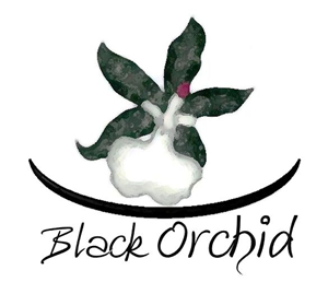 Logo Design by Nina Moe