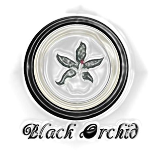 Logo Design by Nina Moe for this project | Design: #1969769