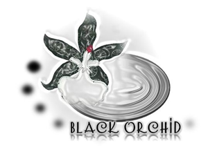 Logo Design by Nina Moe for this project | Design: #1969886
