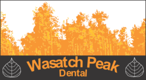 Logo Design by Austin Cook