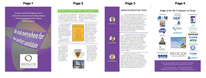 Broschüren-Design von Mbaker für Briscoe Search & Consulting | Design: #1945406