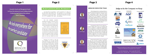 Broschüren-Design von Mbaker für Briscoe Search & Consulting | Design: #1946041