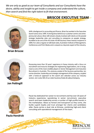 Broschüren-Design von TeaBiscuit für Briscoe Search & Consulting | Design: #1951039