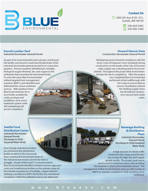 Flyer Design by Gawa Design for this project | Design #397320