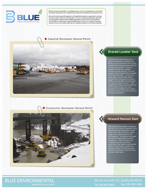 Flyer Design by WingLee for this project | Design #400012