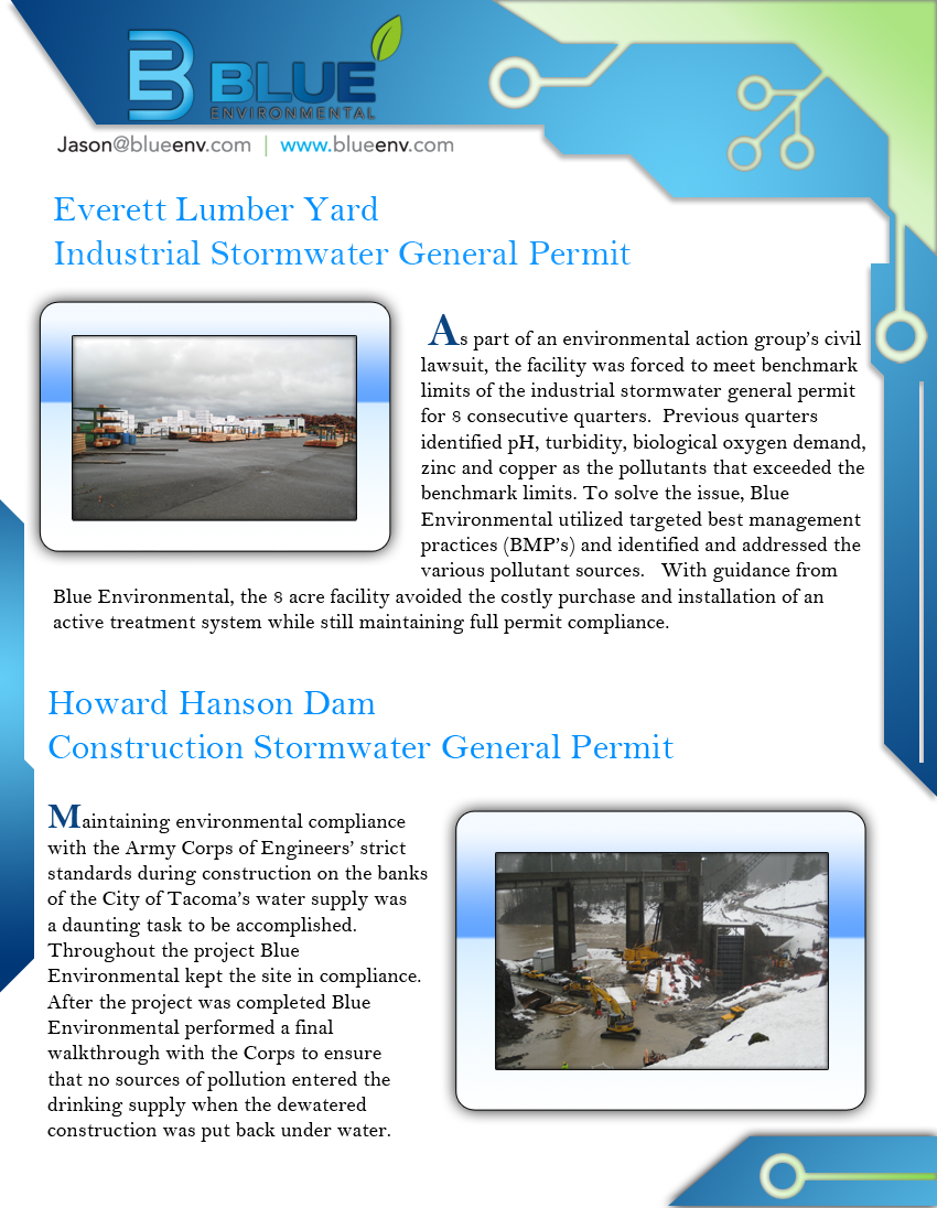 Flyer Design by Metaphorical Emperor Leaf for this project | Design #401450