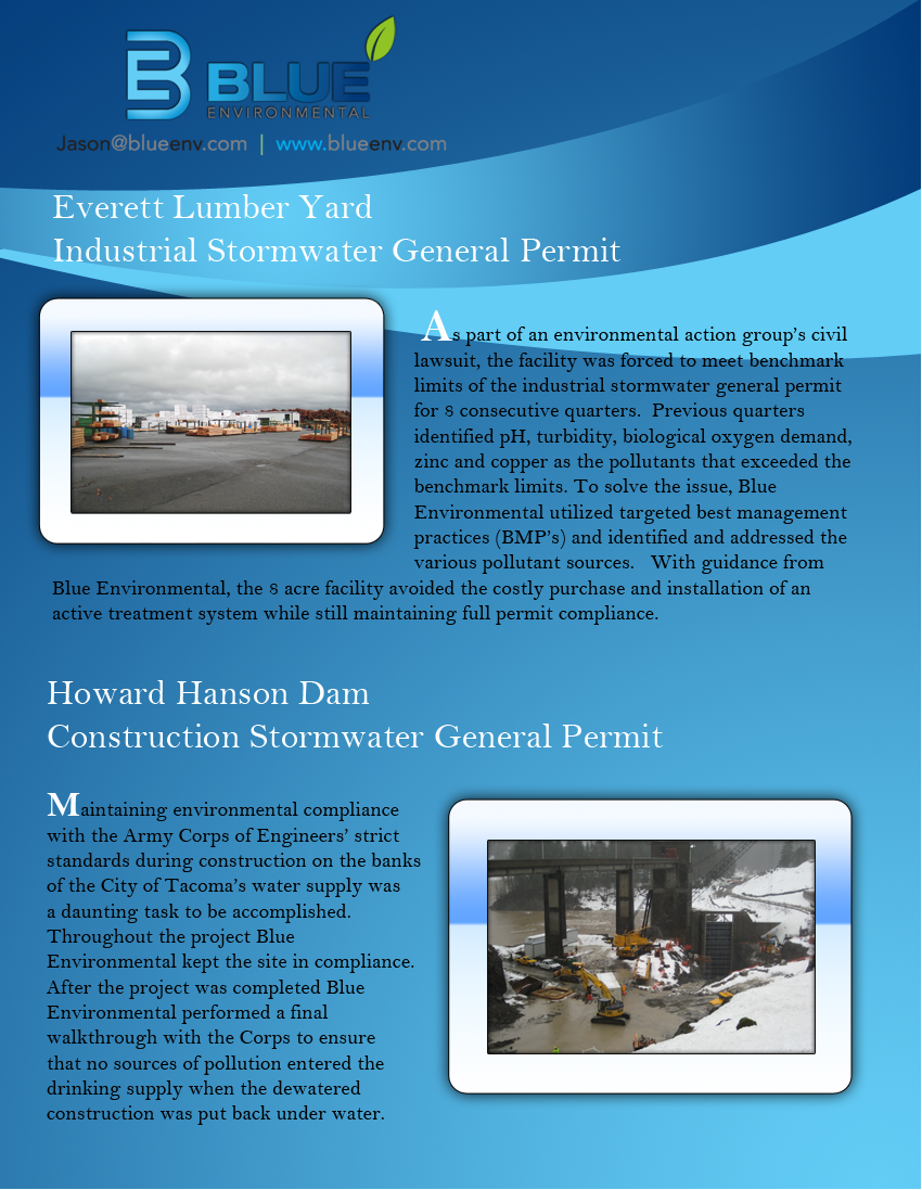 Flyer Design by Metaphorical Emperor Leaf for this project | Design #401459