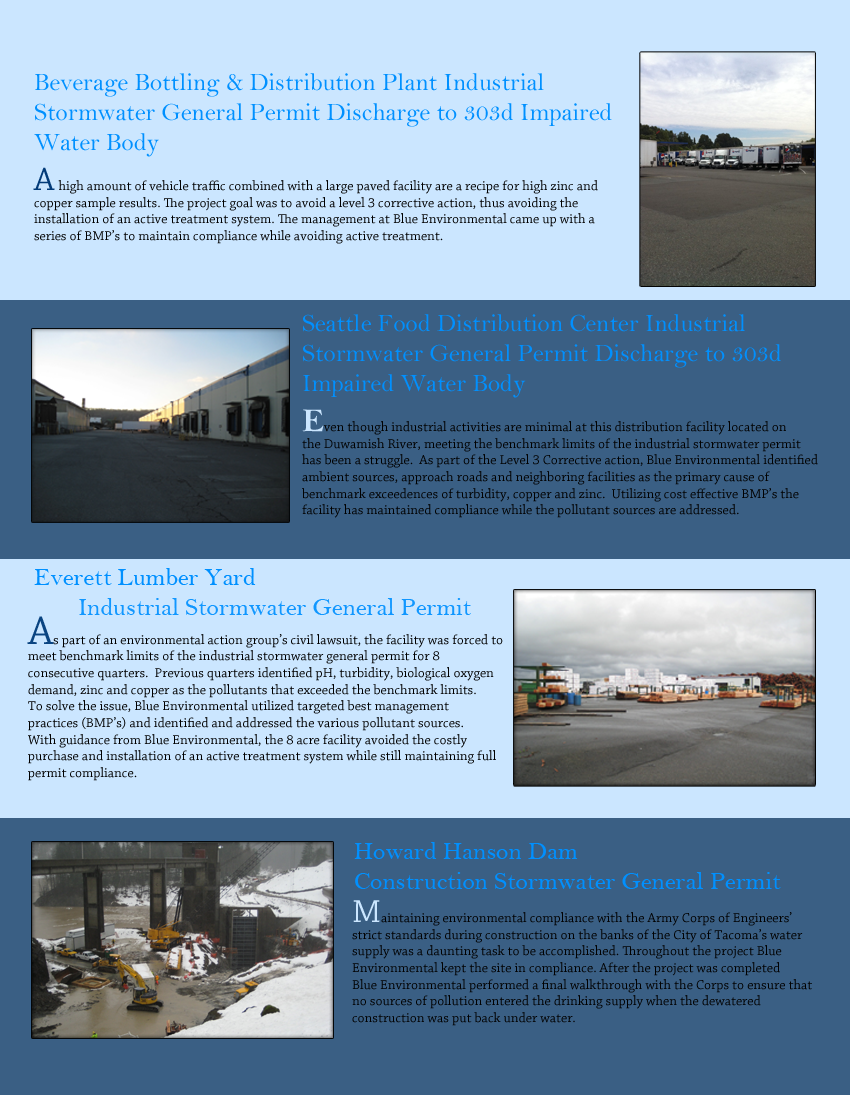 Flyer Design by Metaphorical Emperor Leaf for this project | Design #402582