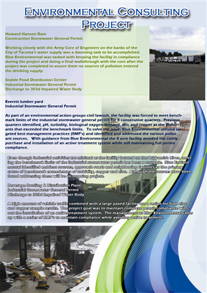 Flyer Design by dalia khairy for this project | Design #398719