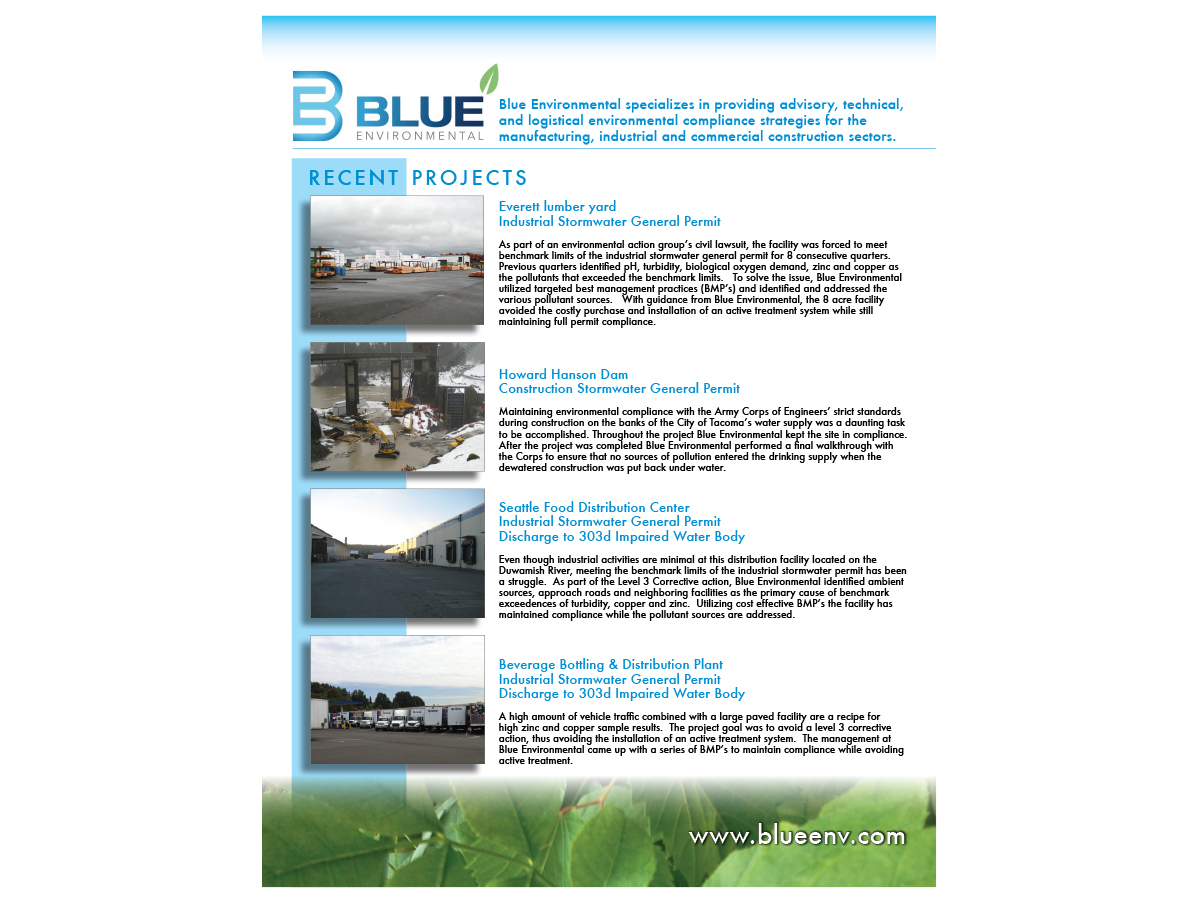 Flyer Design by Alena Webster for this project | Design #396502