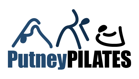 Logo Design by TSEdesign for Function Physio | Design #7822316