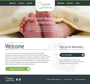 Web Design by envisive