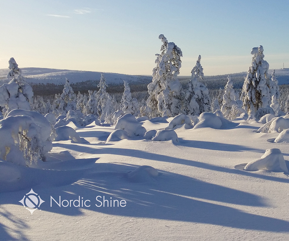 Logo Design by RoundYellow for this project | Design #7819593