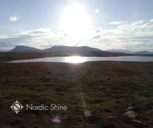 Diseño de Logo por RoundYellow para este proyecto | Diseño: #7819603