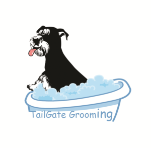 Logo Design by islamshady8