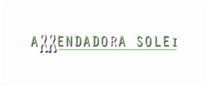 Letterhead Design by KreaTVT for ARRENDADORA SOLEI | Design: #1977530