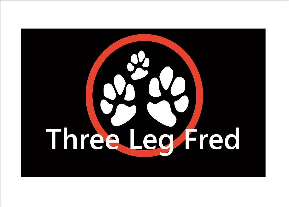 Logo-Design von Alejandra Zimmerli für dieses Projekt | Design #1973414