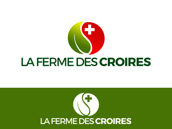 Diseño de Logo por JD Graphics para este proyecto | Diseño #7953738