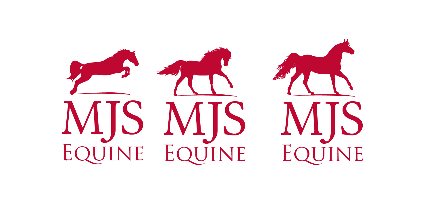 Business Card Design by Marta Sobczak  for MJS Equine | Design #1994184