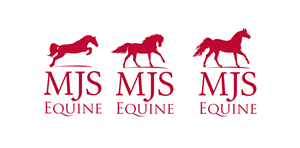 MJS Equine | Business Card Design by Marta Sobczak 