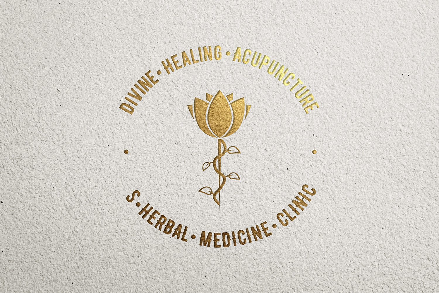 Logo Design by livan-1 for LaceyDU | Design #8506759