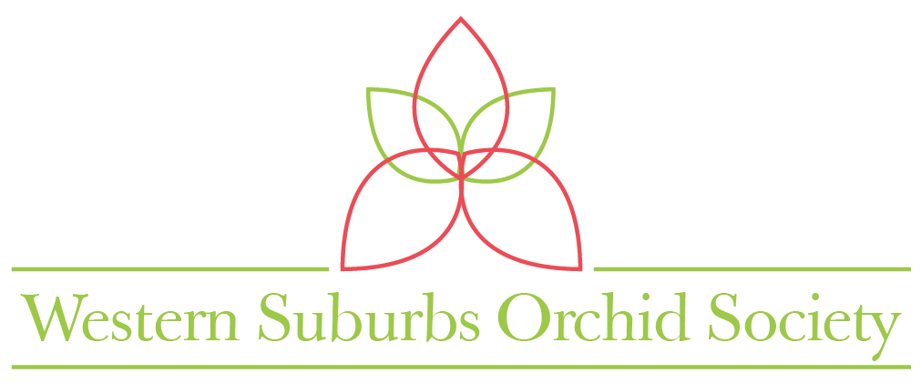 Logo Design by Kiwi Designs SA for this project | Design #7842871