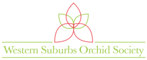 Logo Design by KiwiChoo for this project | Design #7842871