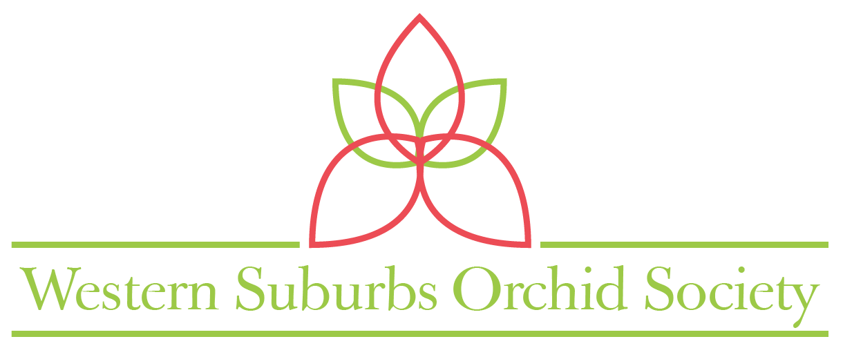 Logo Design by Kiwi Designs SA for this project | Design #7842888