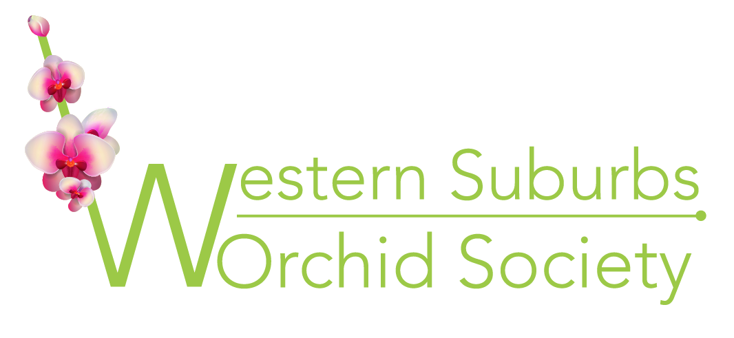 Logo Design by Kiwi Designs SA for this project | Design #7842894