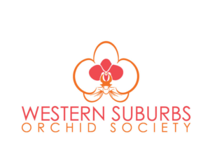 Logo Design by designstudio007 for this project | Design: #7880613