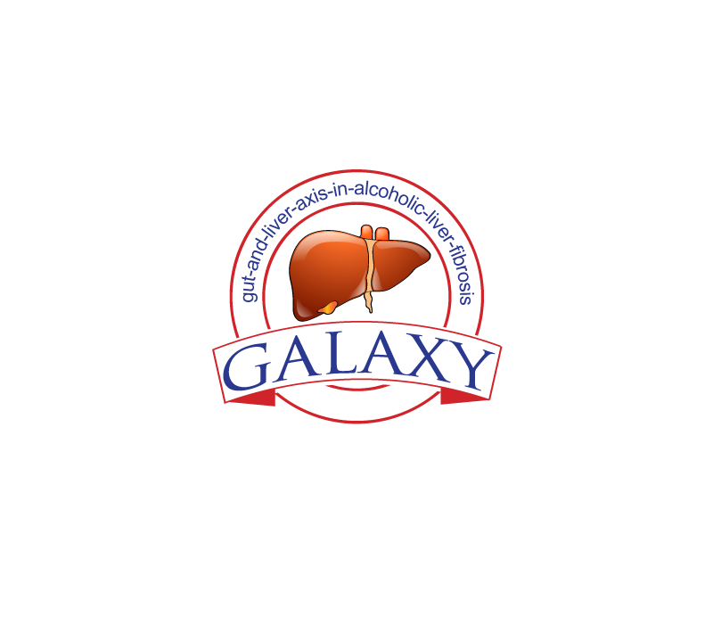 elegant serious logo design for galaxy by pivotaldesign biz