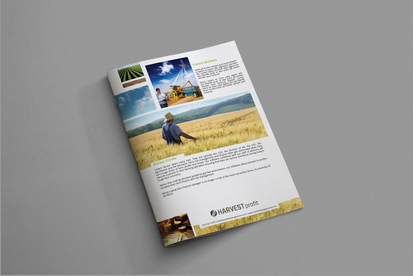 Diseño de Brochure por iTech Graphics para este proyecto | Diseño #7858721