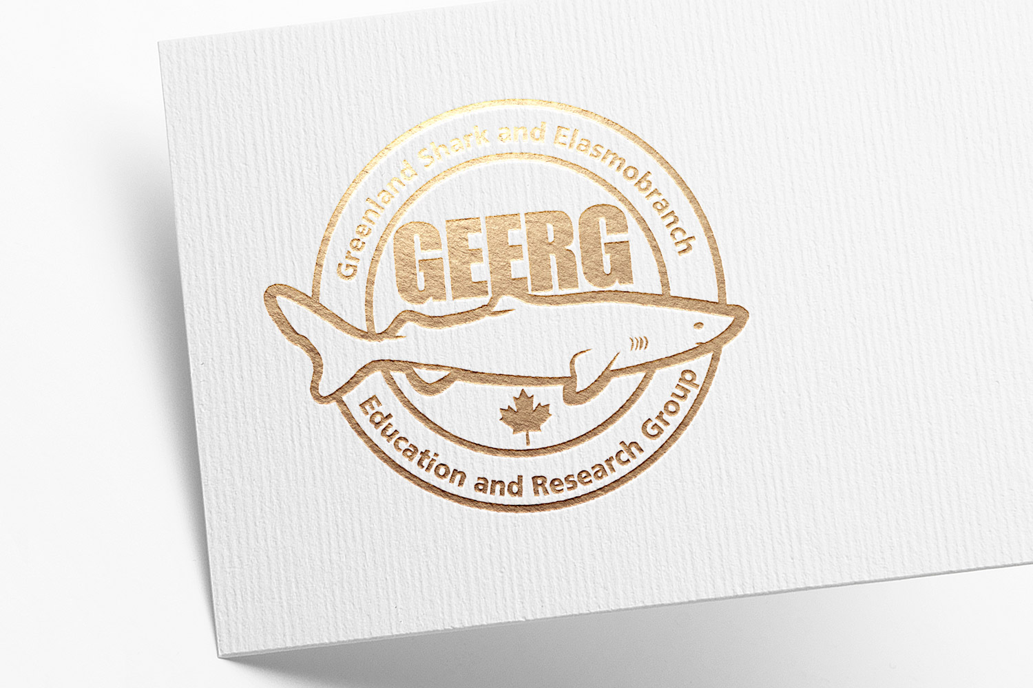 Logo Design by Aleksic for this project | Design #8524569