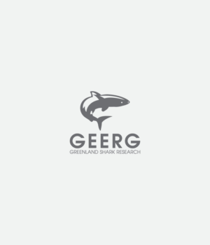 Logo Design by kaijuthemes