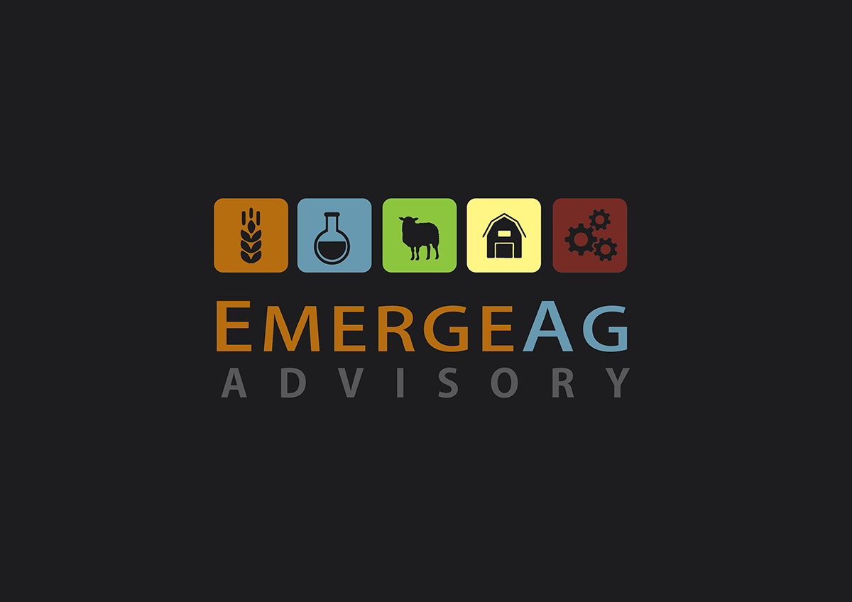 Logo Design by kicha for this project | Design #7950525