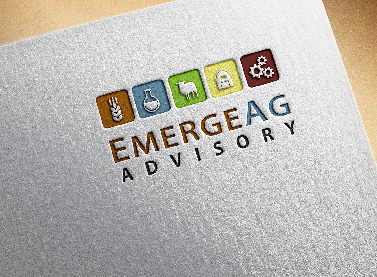 Logo Design by kicha for this project | Design #7950527