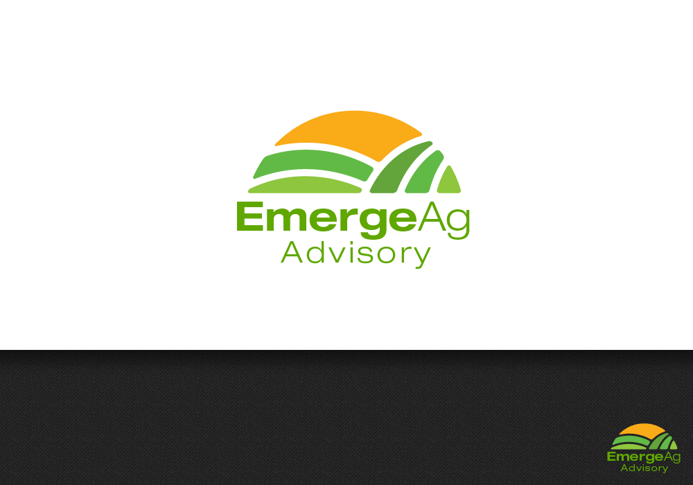 Logo Design by jaime.sp for this project | Design #7947321