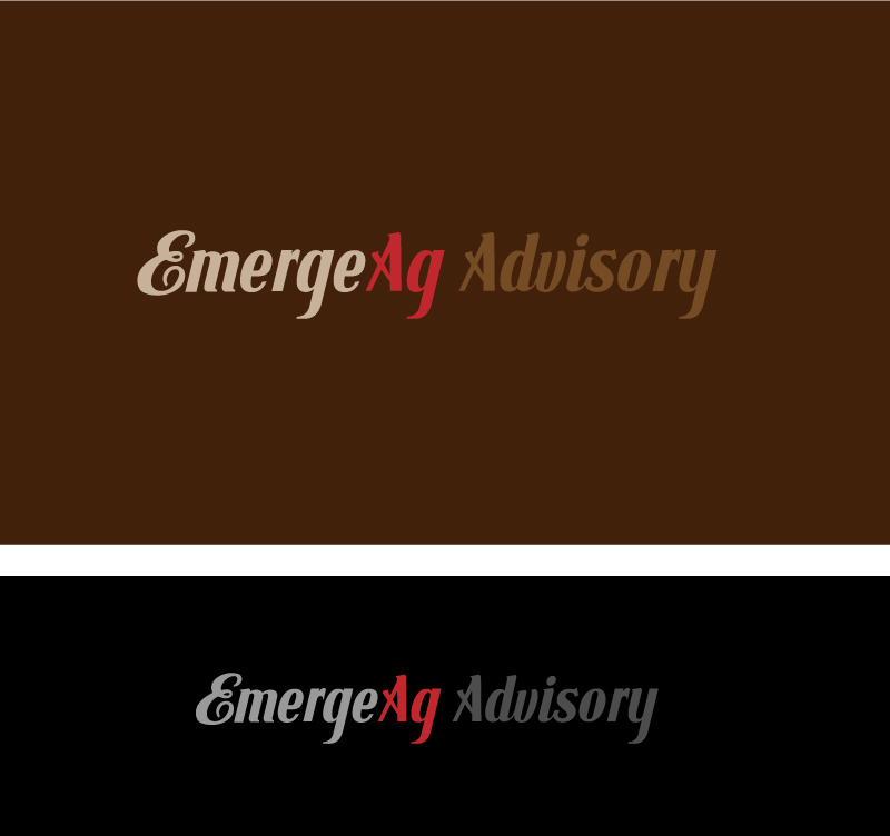 Logo Design by instudio for this project | Design #8458435