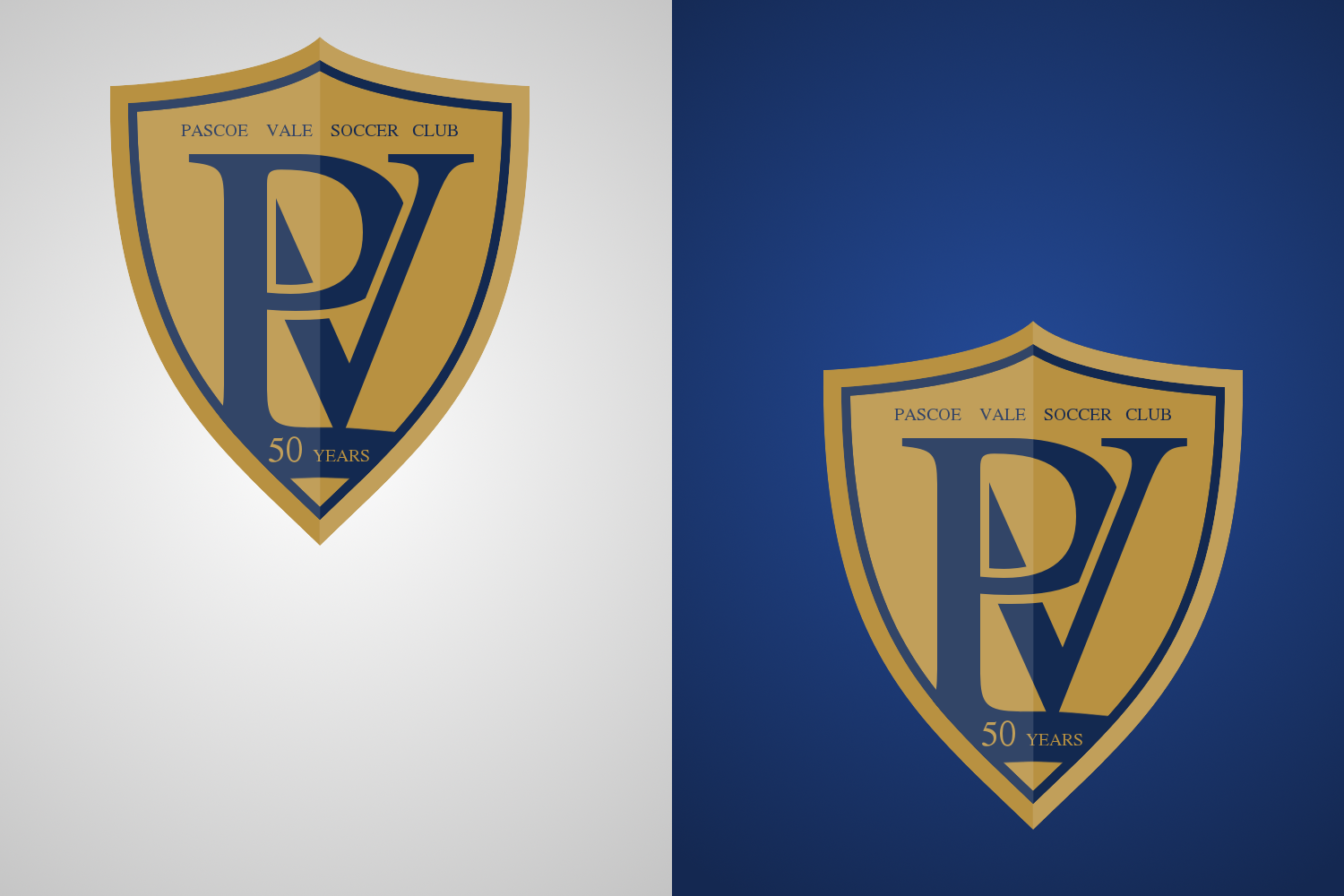 Logo Design by Nazirou Munstege for Tekskin PTY LTD | Design #7869340