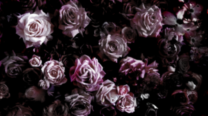 Design Photoshop par seherr pour ce projet | Design : #7885284
