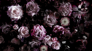 Design Photoshop par seherr pour ce projet | Design : #7885368