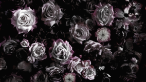 Design Photoshop par seherr pour ce projet | Design : #7929991