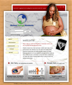 Web Design by BrandOne