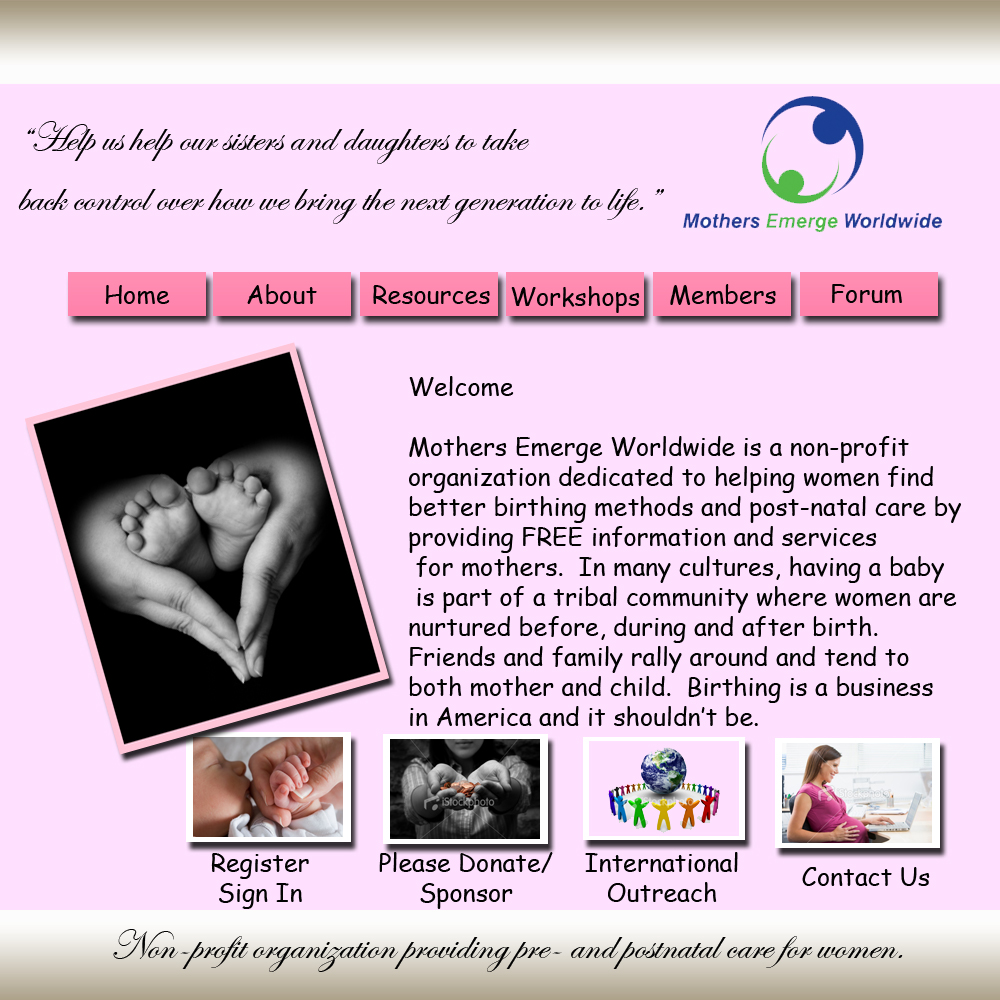 Web Design by Steven Neill for MEW Worldwide LLC | Design #13686