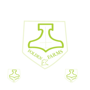 Logo Design by Mr Freelancer for this project | Design #7958470